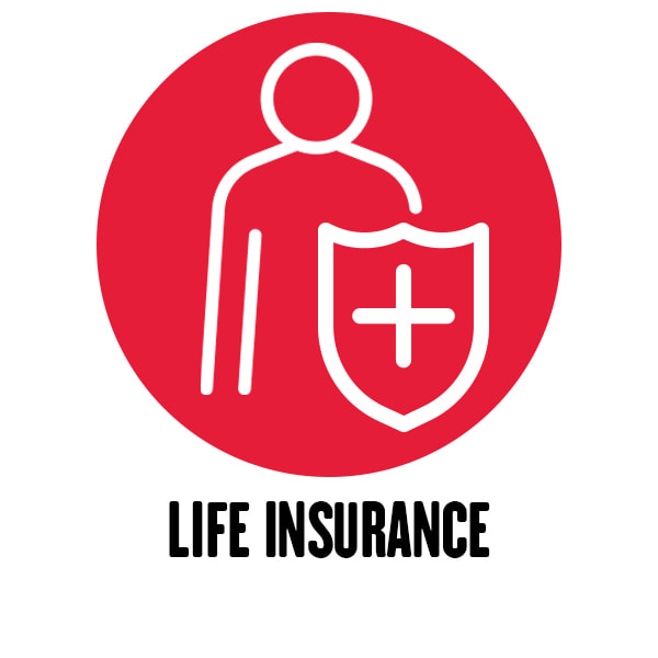 company benefit: life insurance