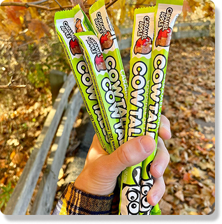 A person holding a handful of Caramel Apple Cow Tales.