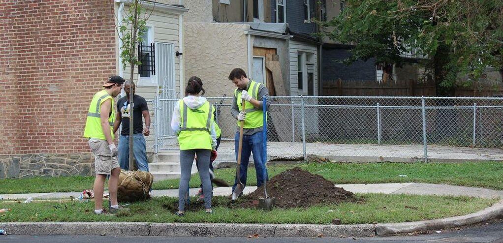 RETHINK Joins the Baltimore Tree Trust at Goetze’s
