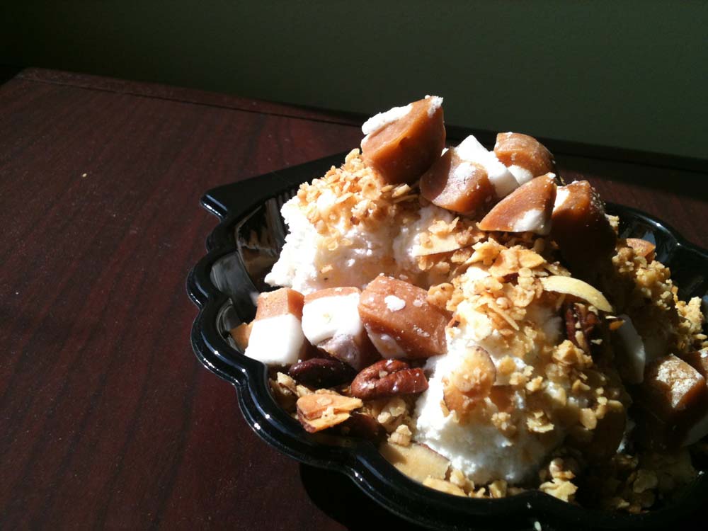 Homemade Caramel Apple Ice Cream